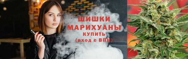 PSILOCYBIN Абдулино