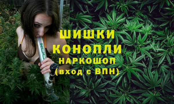 PSILOCYBIN Абдулино