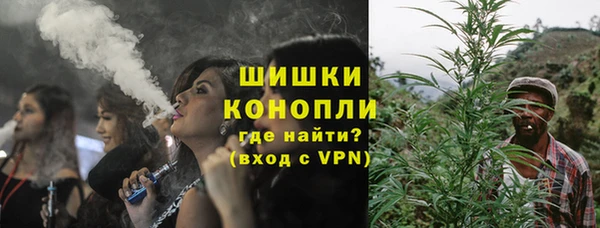 PSILOCYBIN Абдулино