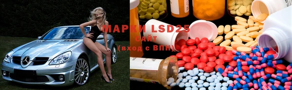 PSILOCYBIN Абдулино