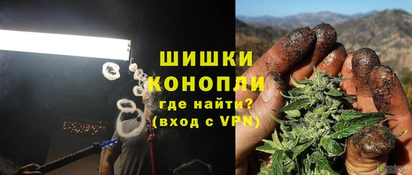PSILOCYBIN Абдулино