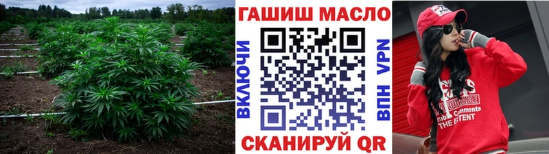 дарнет шоп  Энем  Дистиллят ТГК THC oil 